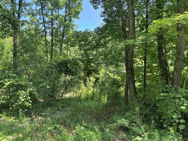 Upper Plains Road, Salisbury, VT 05769