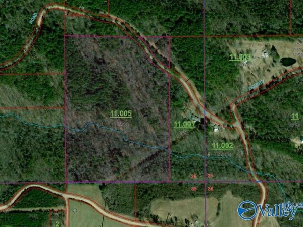 30 ac County Road 469, Collinsville, AL 35961