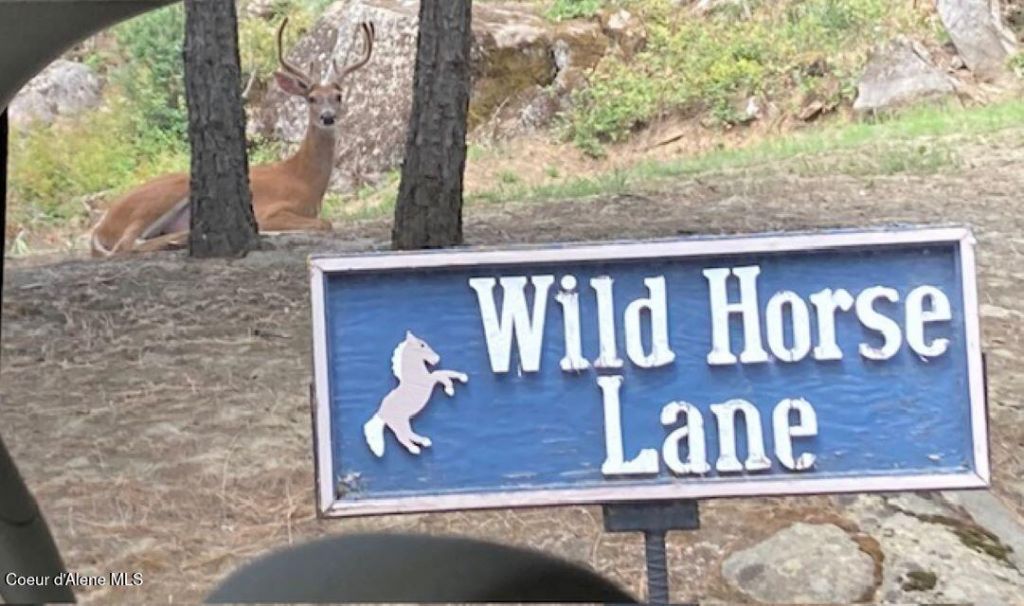 7376 Wild Horse Ln, Bonners Ferry, ID 83805 Main Photo