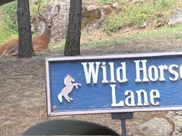 7376 Wild Horse Ln, Bonners Ferry, ID 83805