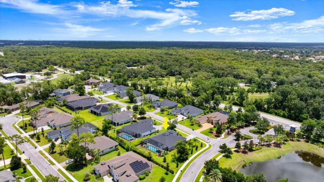 2426 Wild Turkey Creek Ln, Port Orange, FL 32128 Photo