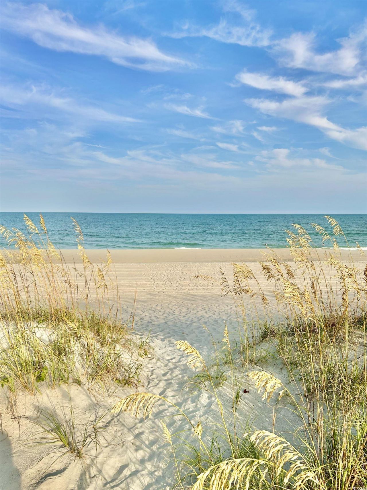 4907 Woodview Ln. Photo 29