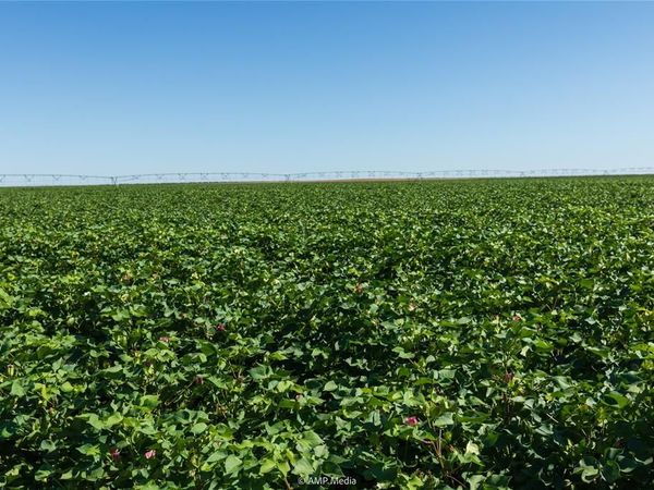 TBD CR 1691, O'Brien, TX 79521