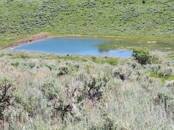 TBD Divide Road, Unit Mont's Dra, Gateway, CO 81522