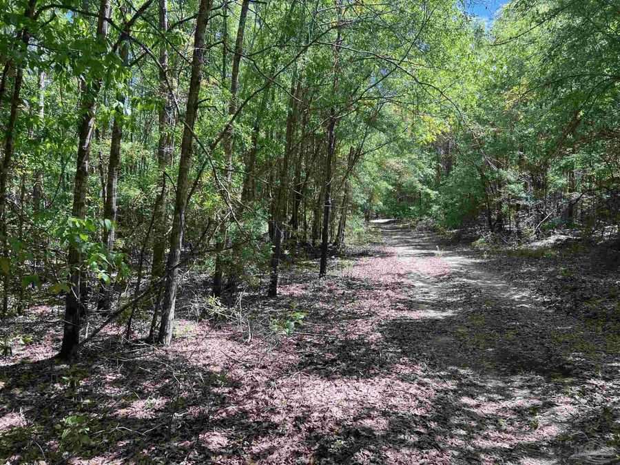 Property Image 70