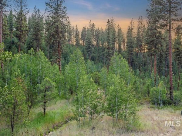 Lot 12 Shaw Gulch Road, Idaho City, ID 83631