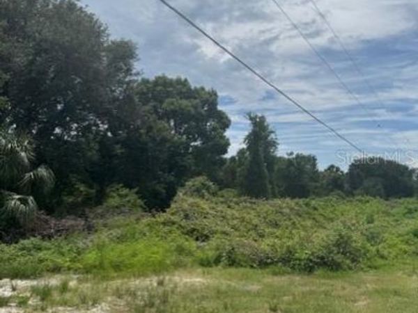 1306 PELL ROAD, OSTEEN, FL 32764