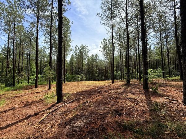 0 Spokelay Rd, Spencer, TN 38585