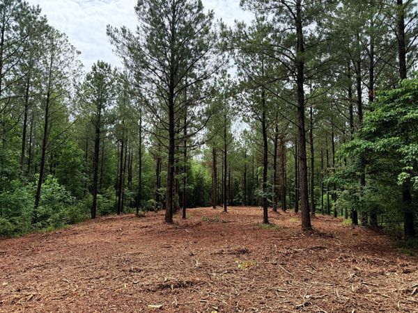 0 Spokelay Rd, Spencer, TN 38585