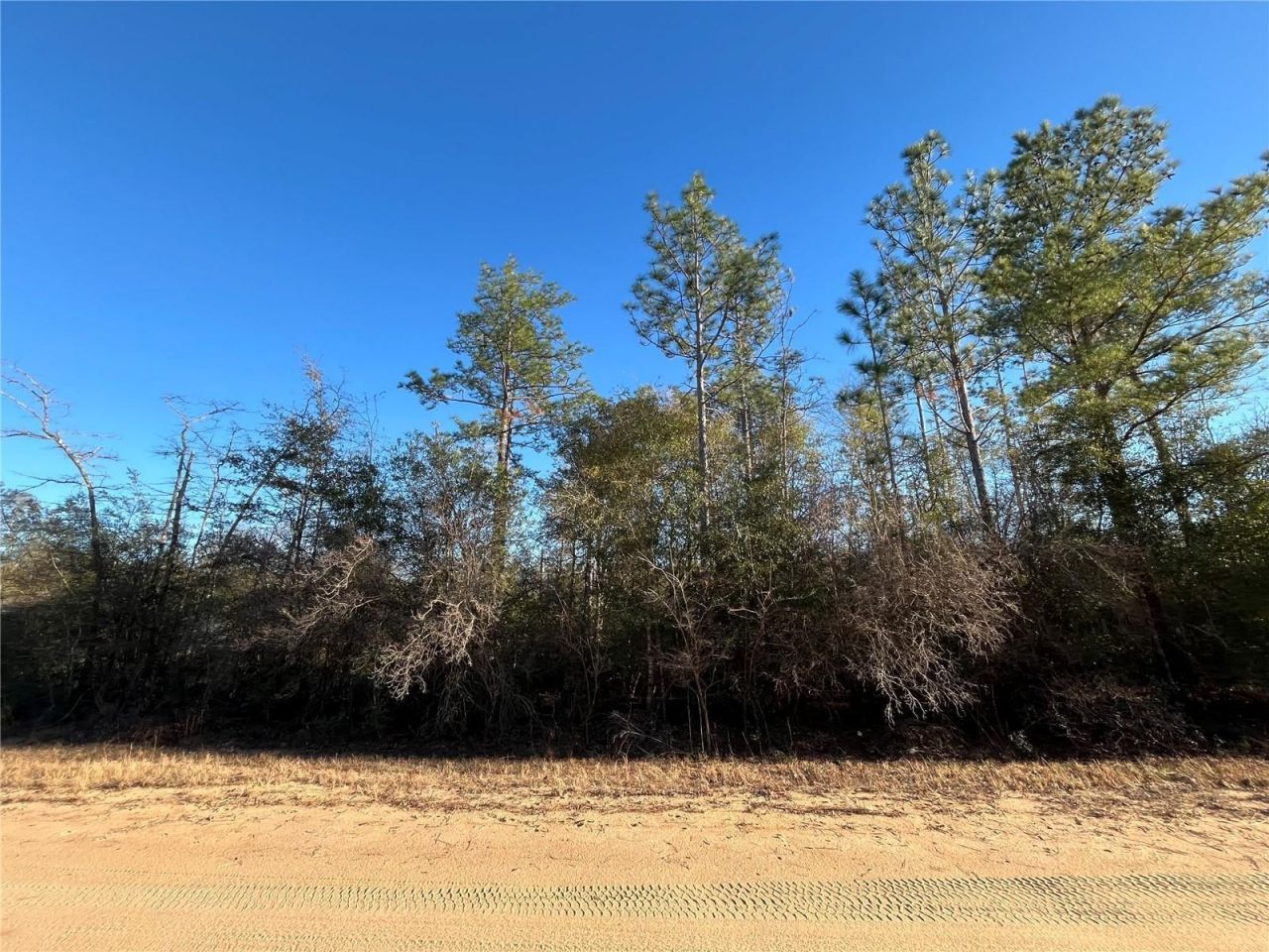 Tbd Goreville Avenue, Alford, FL 32420 Photo