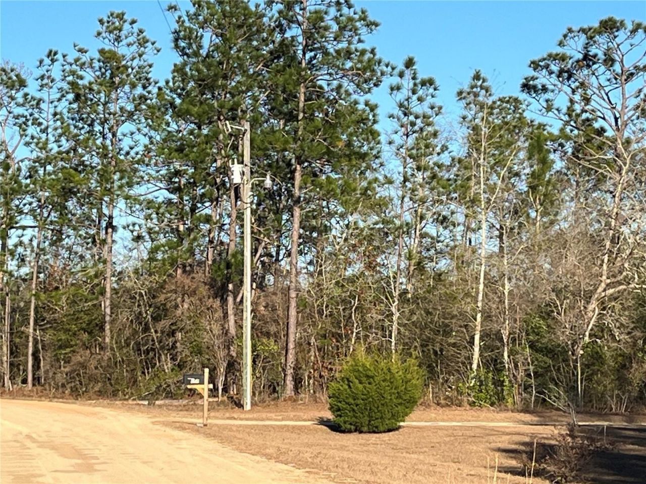 Tbd Goreville Avenue, Alford, FL 32420 Photo