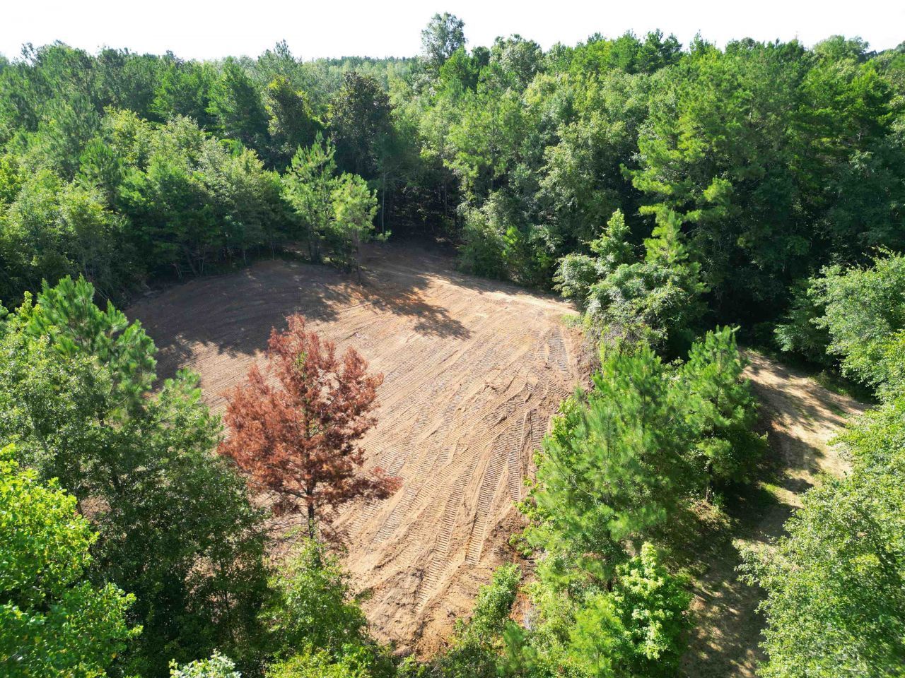 Xxx Greensboro Highway, Quincy, FL 32351 Photo