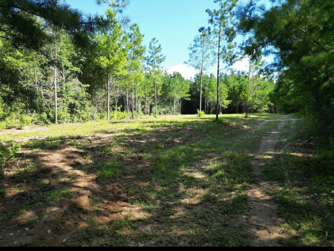 Xxx Greensboro Highway, Quincy, FL 32351 Photo