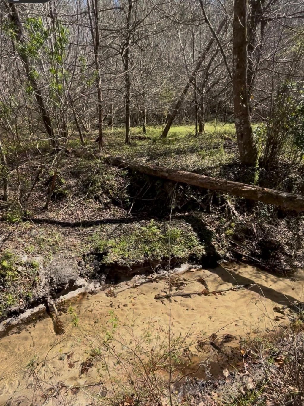 Xxx Greensboro Highway, Quincy, FL 32351 Photo