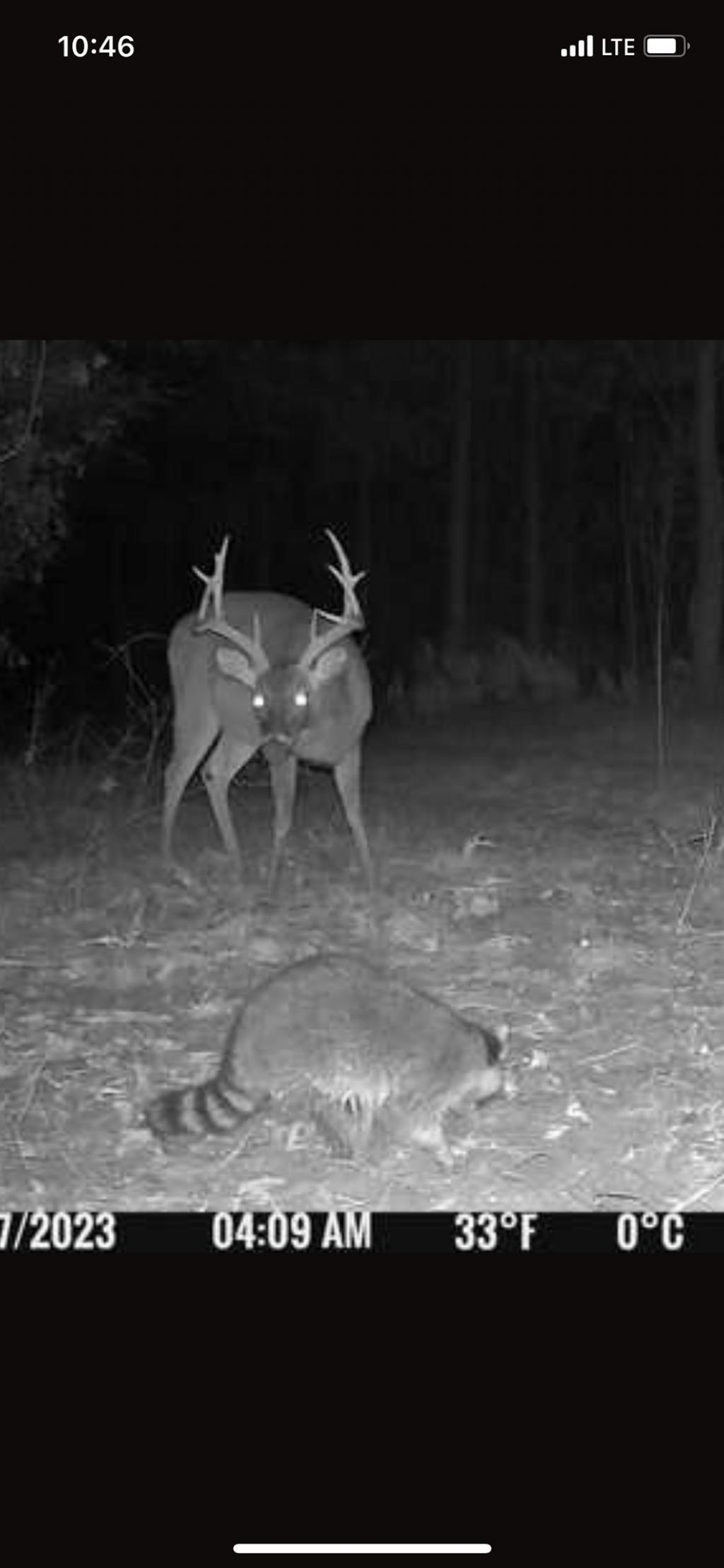 Xxx Greensboro Highway, Quincy, FL 32351 Photo