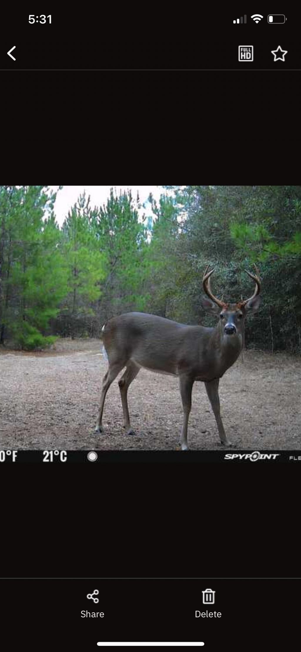Xxx Greensboro Highway, Quincy, FL 32351 Photo