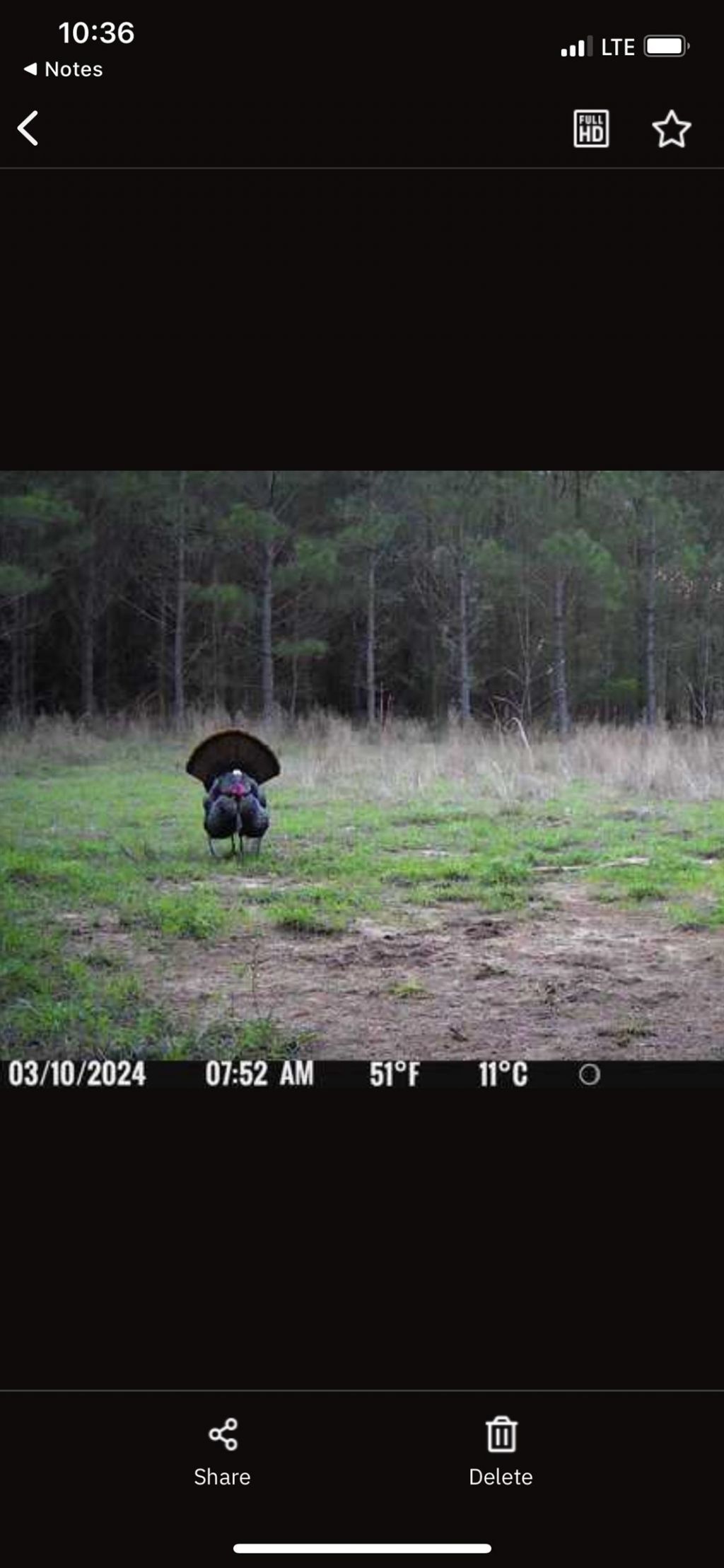 Xxx Greensboro Highway, Quincy, FL 32351 Photo