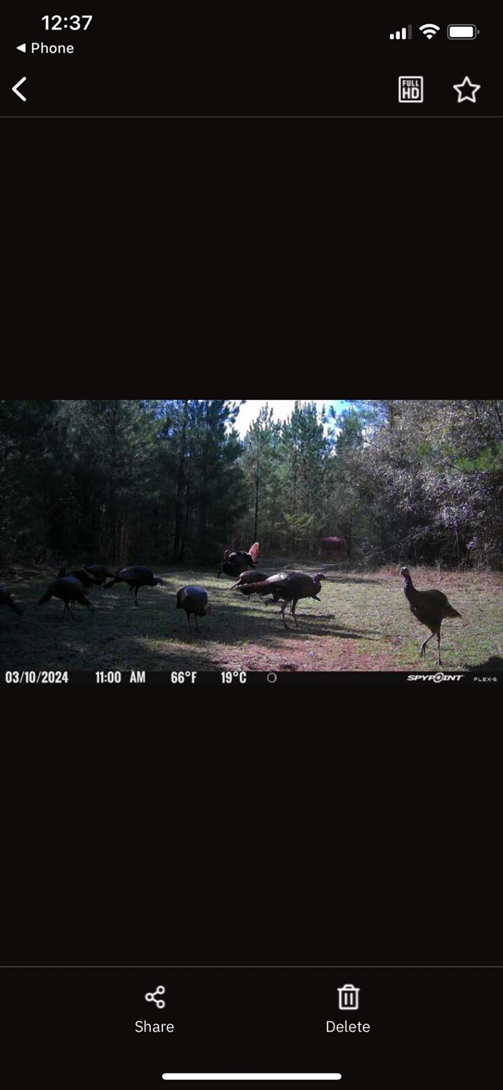 Xxx Greensboro Highway, Quincy, FL 32351 Photo