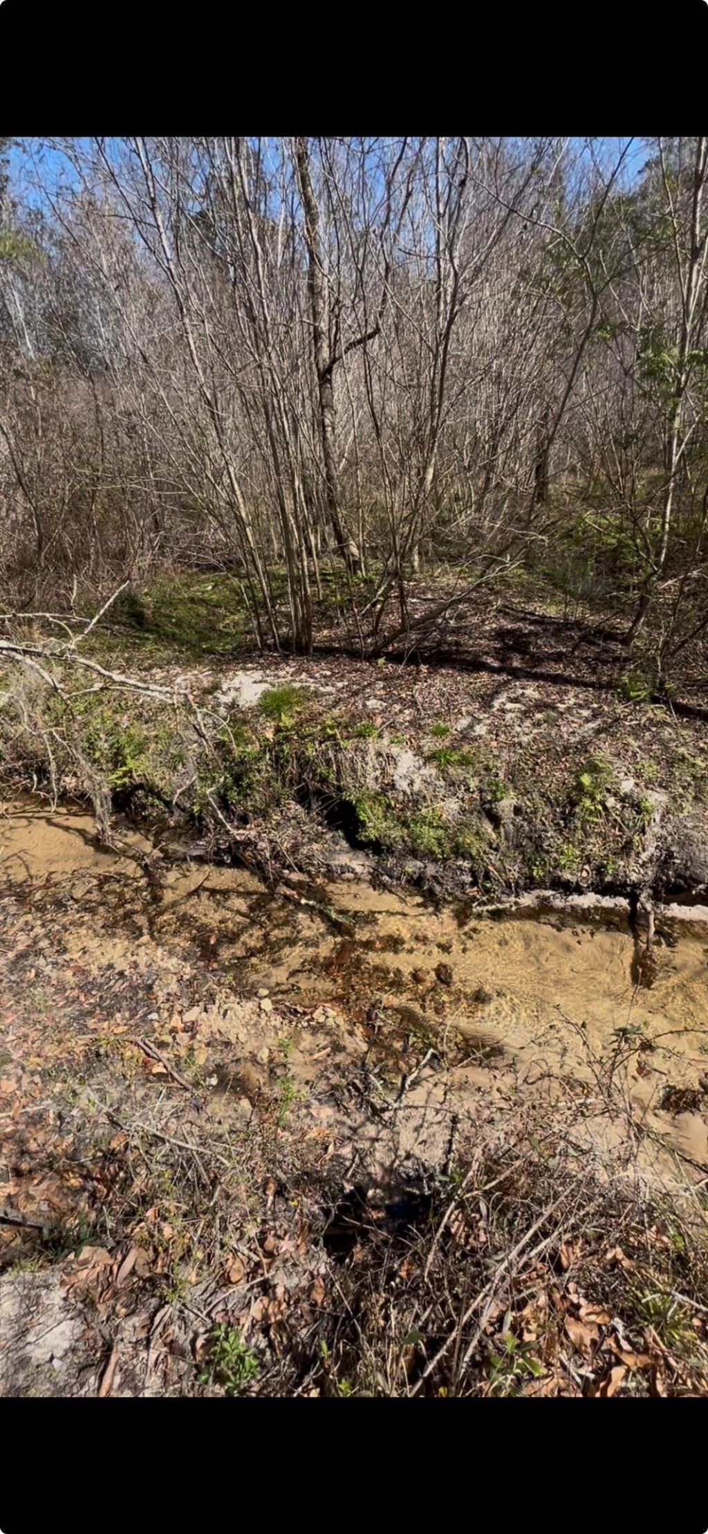 Xxx Greensboro Highway, Quincy, FL 32351 Photo