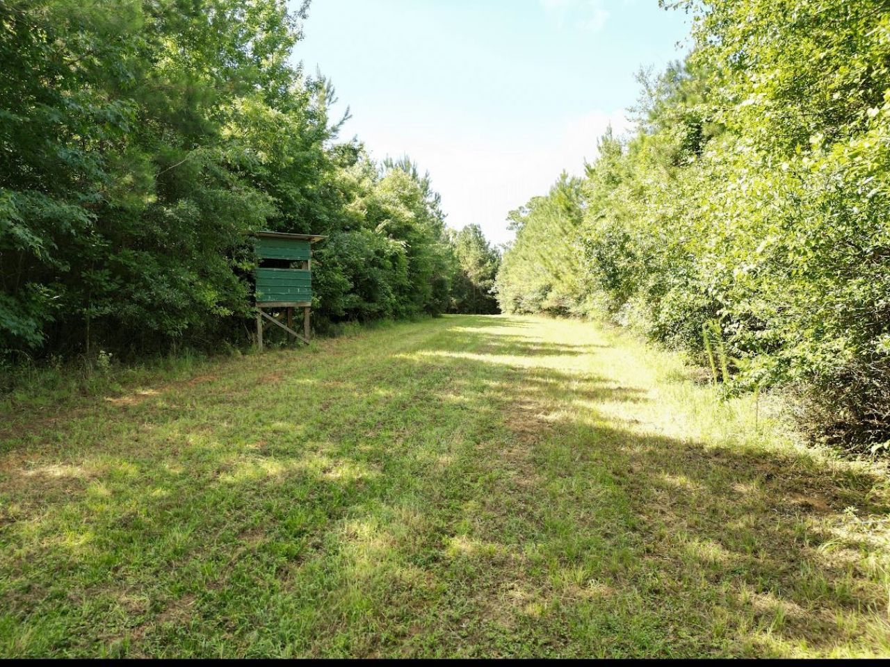 Xxx Greensboro Highway, Quincy, FL 32351 Photo