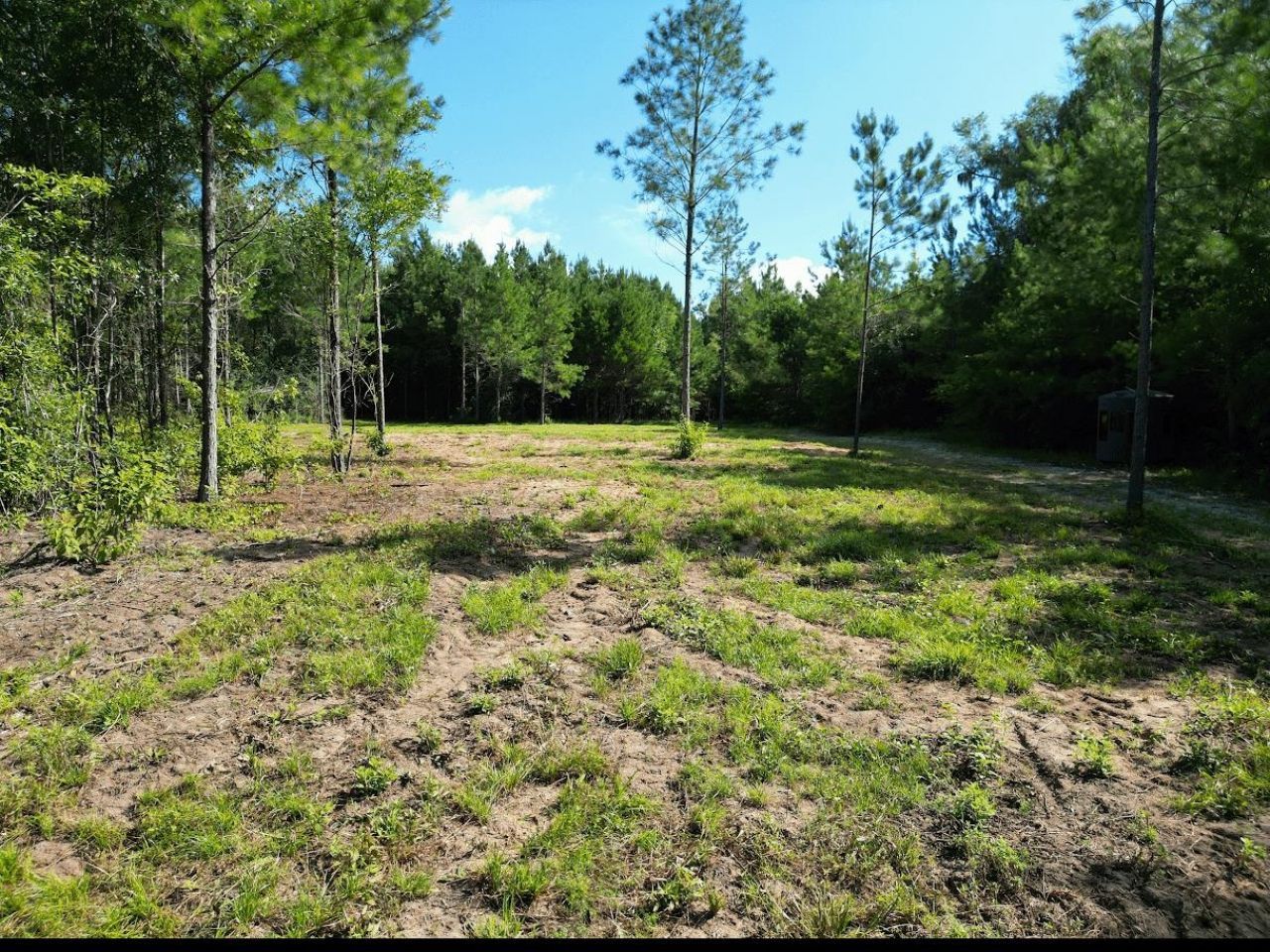 Xxx Greensboro Highway, Quincy, FL 32351 Photo