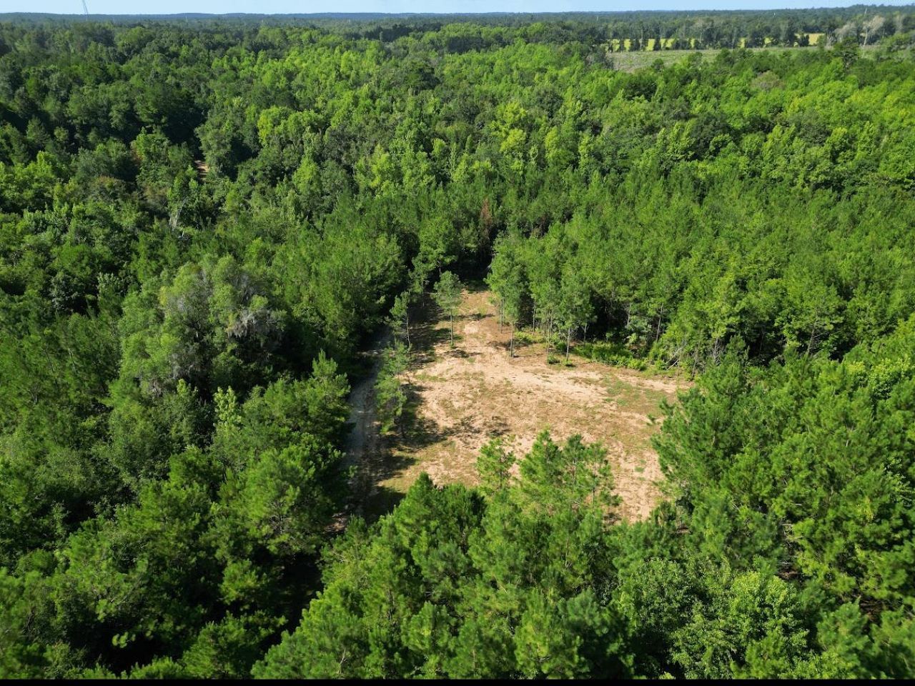 Xxx Greensboro Highway, Quincy, FL 32351 Photo