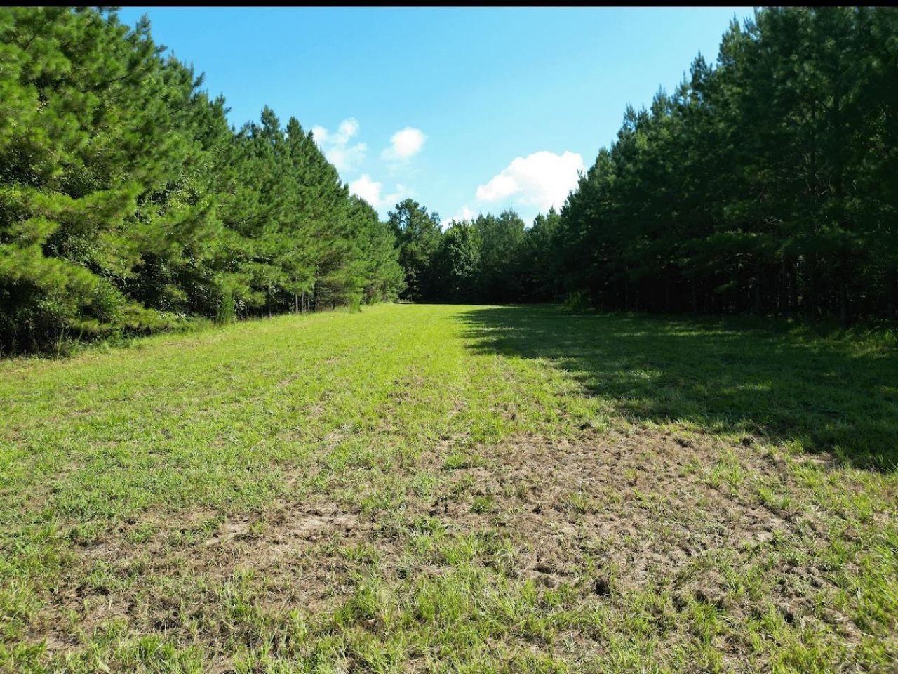 Xxx Greensboro Highway, Quincy, FL 32351 Photo