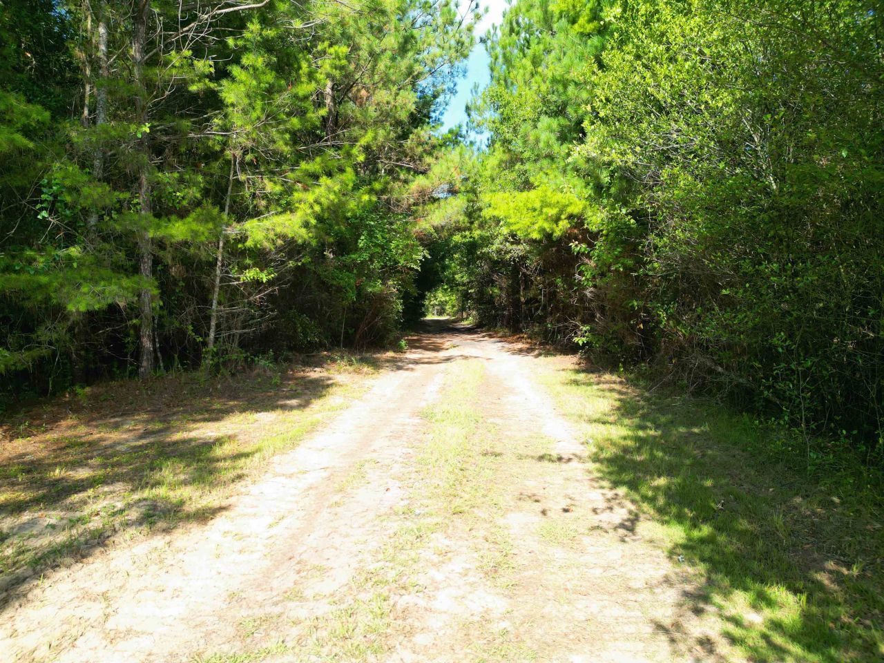 Xxx Greensboro Highway, Quincy, FL 32351 Photo