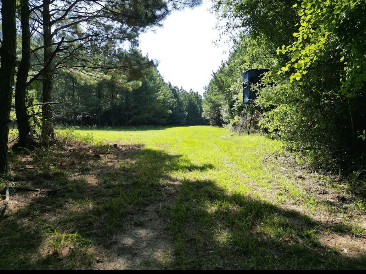 Xxx Greensboro Highway, Quincy, FL 32351 Photo