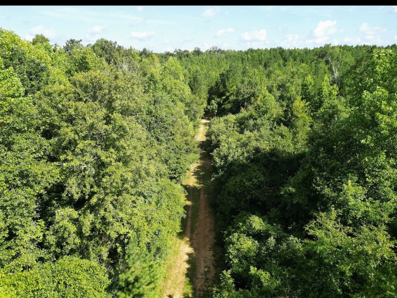 Xxx Greensboro Highway, Quincy, FL 32351 Photo