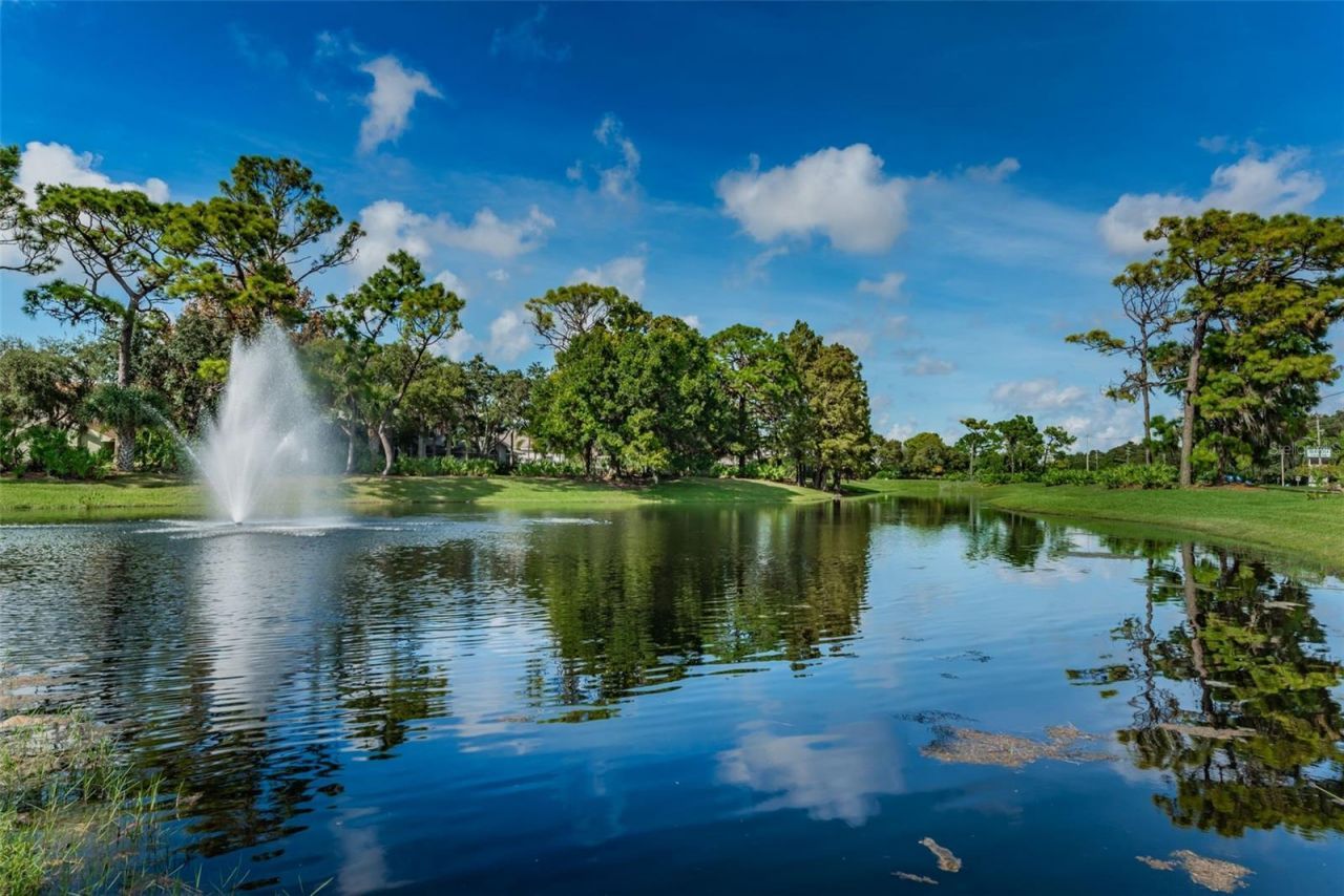 10479 Longwood Drive, Seminole, FL 33777 Photo
