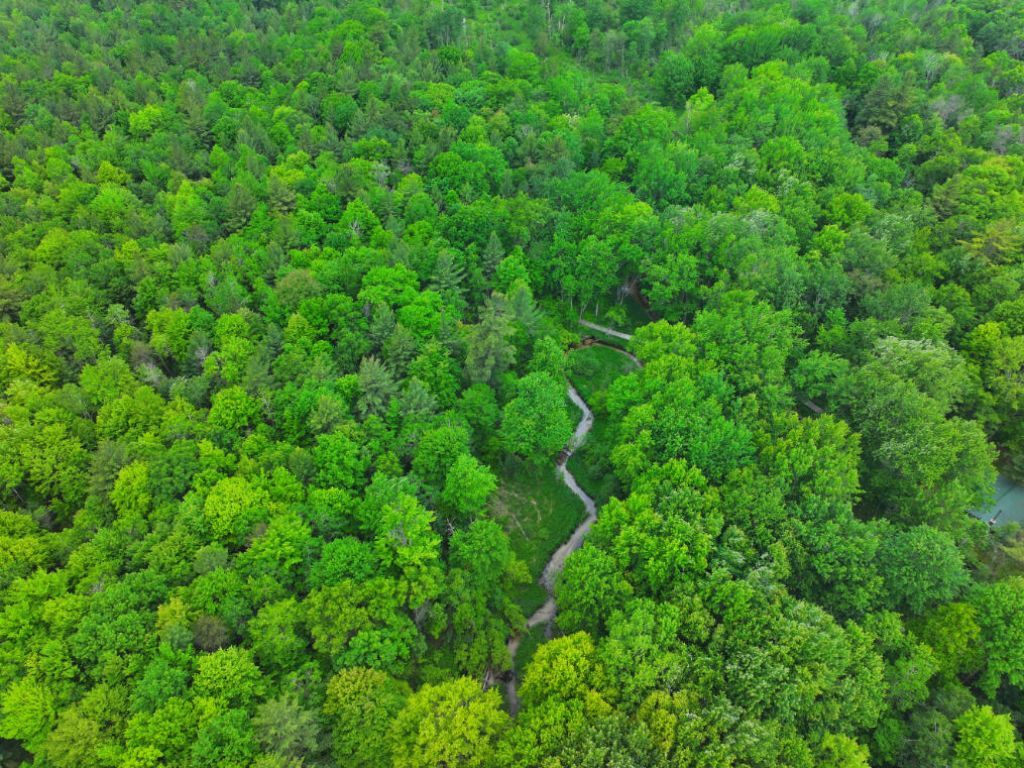 V/l 14a N Woodbridge Avenue, Bitely, MI 49309 Main Photo