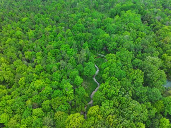 V/L 14A N Woodbridge Avenue, Bitely, MI 49309