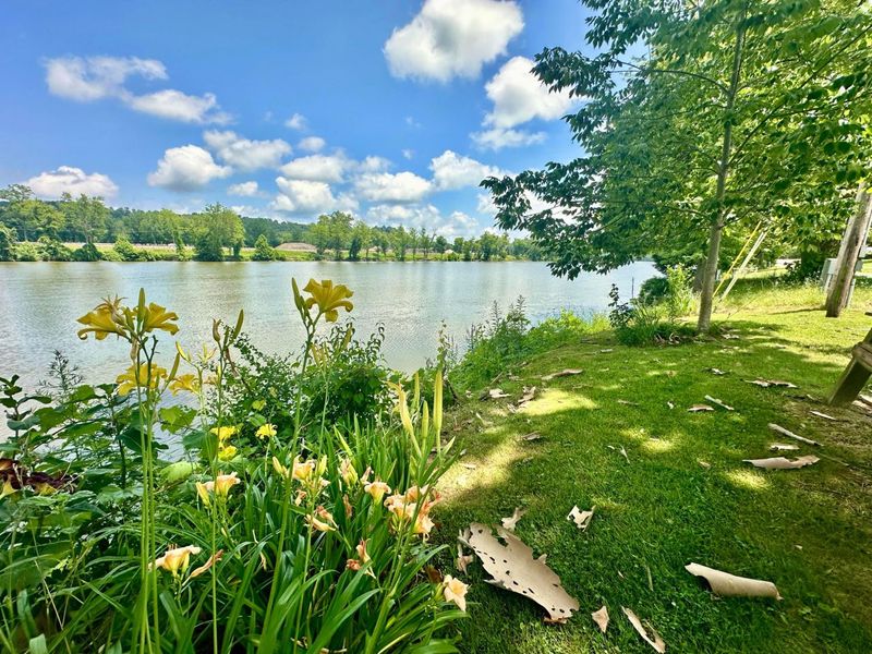 4145 Old River Road, Philo, OH 43771 Photo 5