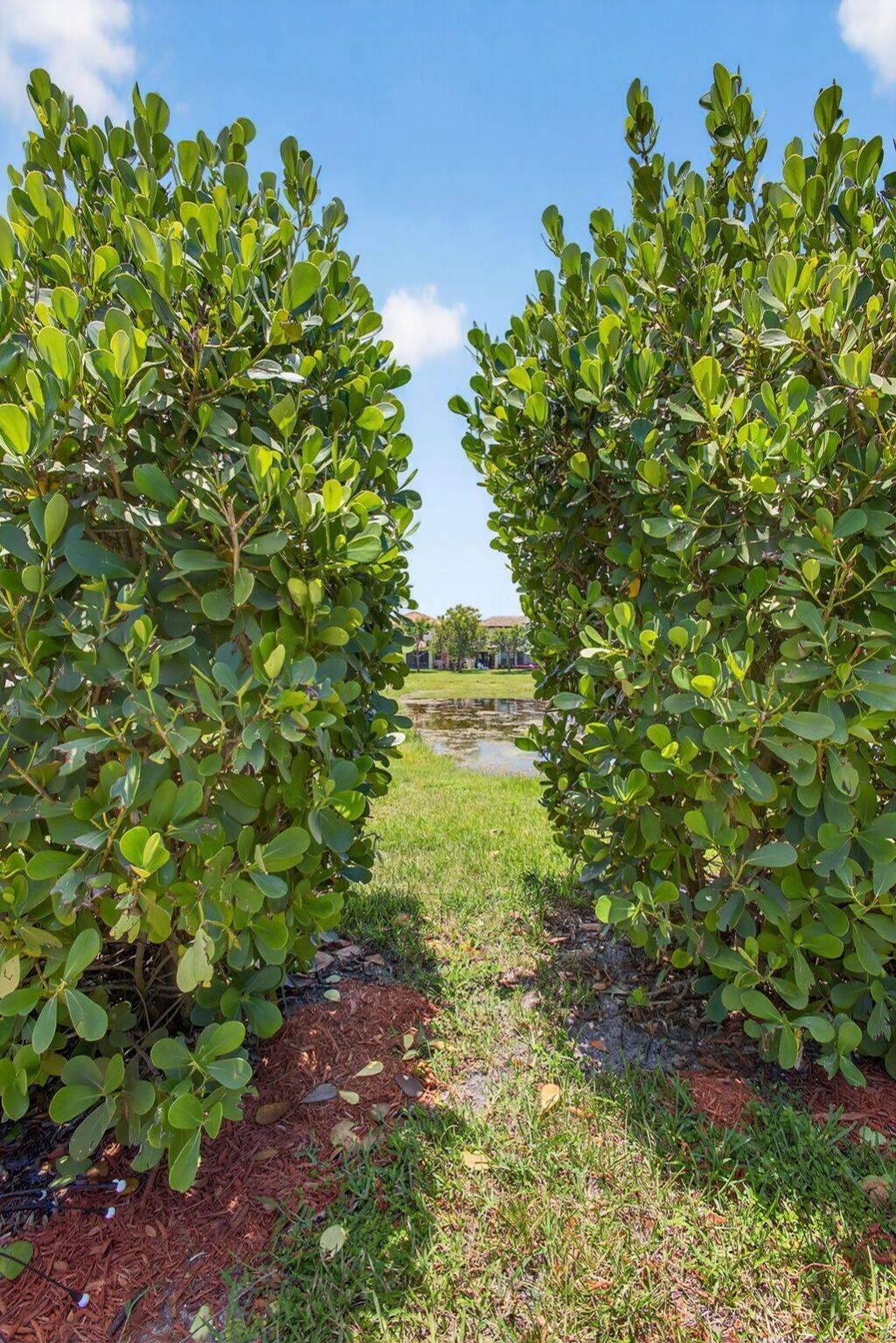 8822 Willow Cove Lane, Lake Worth, FL 33467 Photo