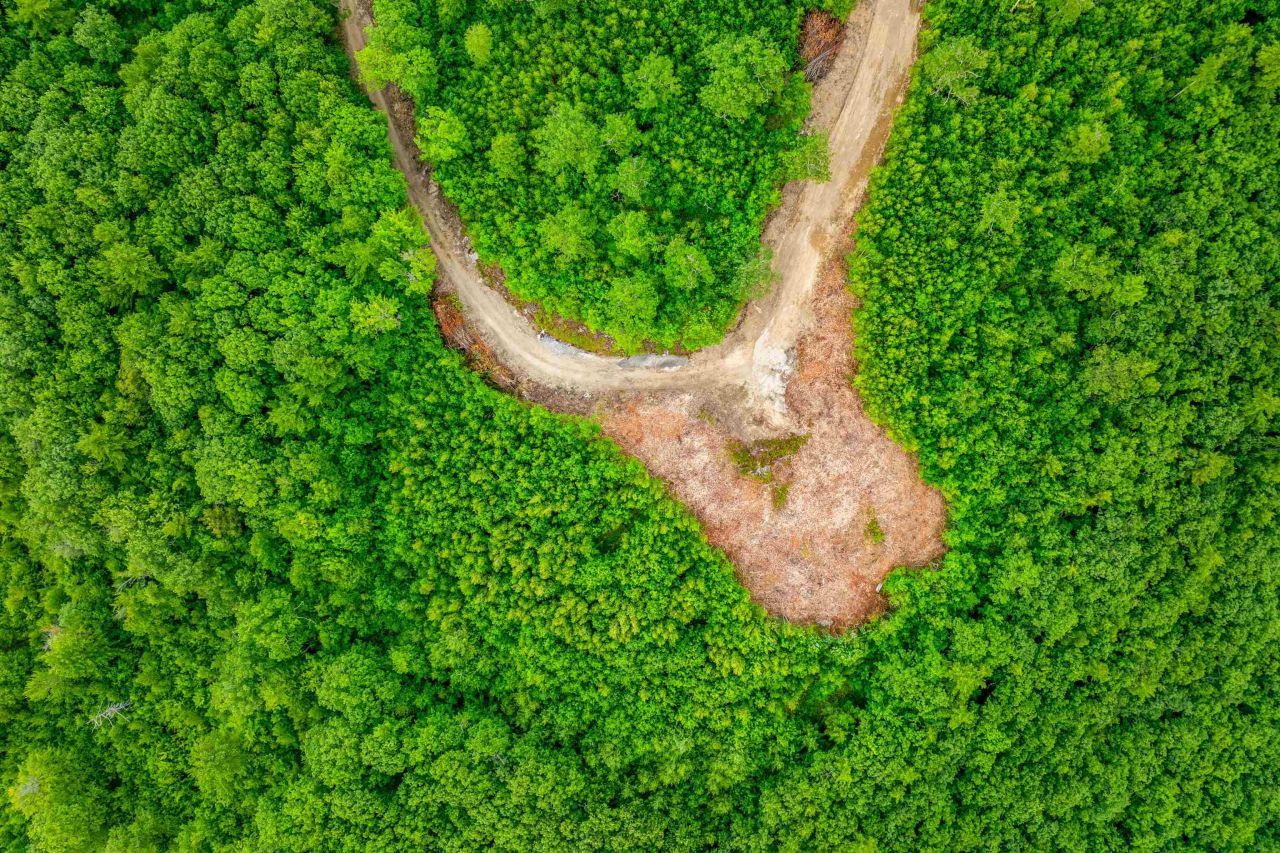 0 Long Stack Lane, Lot #47, Alton, NH 03809 Main Photo