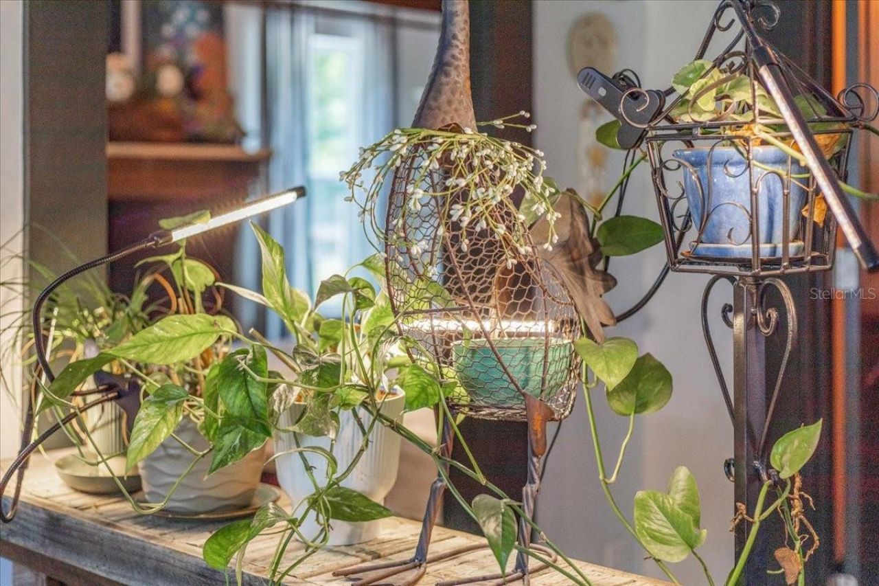 631 NW 172nd Lane, Trenton, FL 32693 Photo