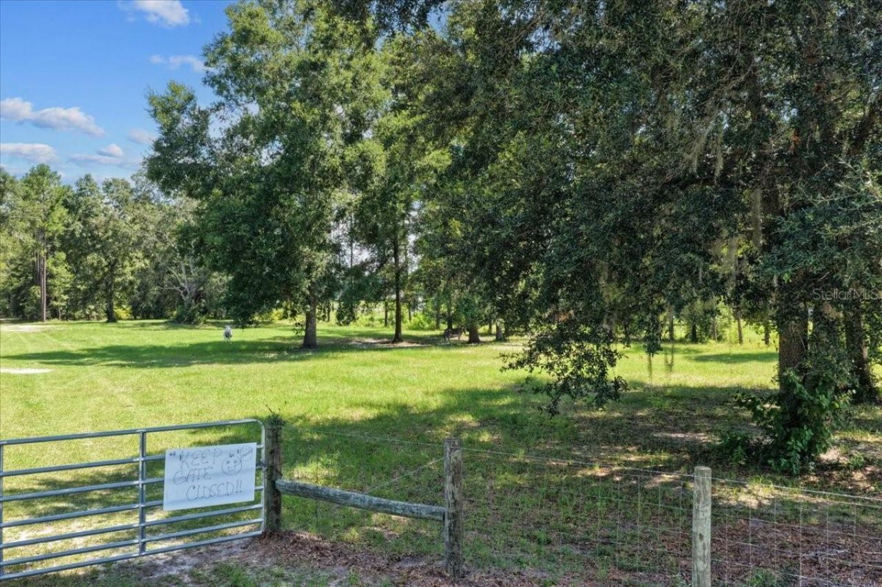 631 NW 172nd Lane, Trenton, FL 32693 Photo