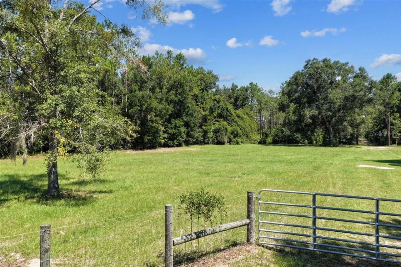 631 NW 172nd Lane, Trenton, FL 32693 Photo