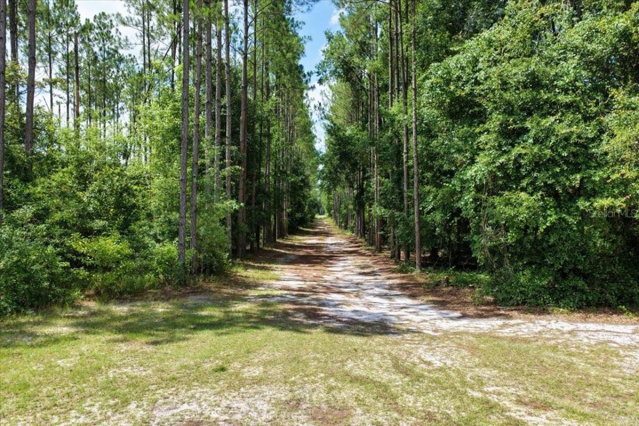 631 NW 172nd Lane, Trenton, FL 32693 Photo