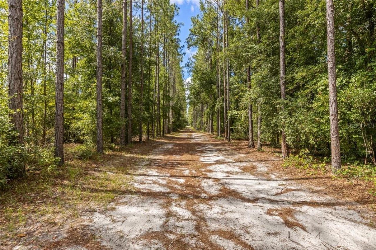 631 NW 172nd Lane, Trenton, FL 32693 Photo