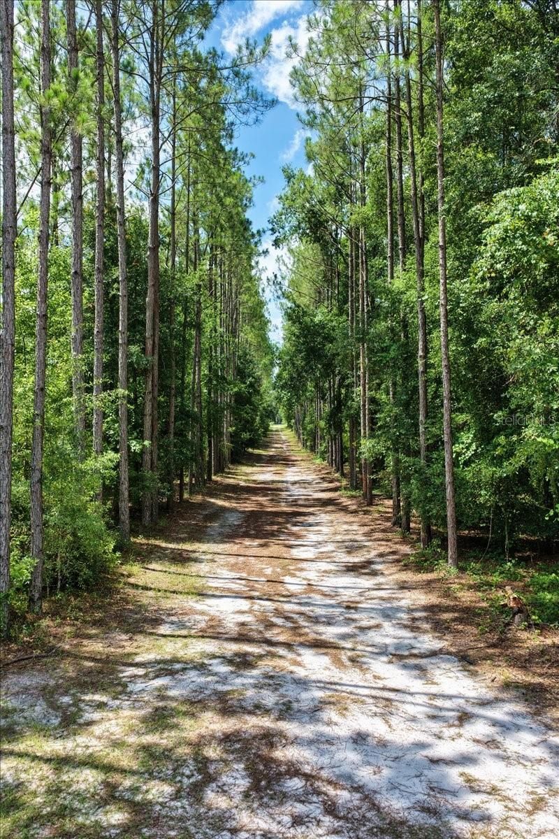 631 NW 172nd Lane, Trenton, FL 32693 Photo