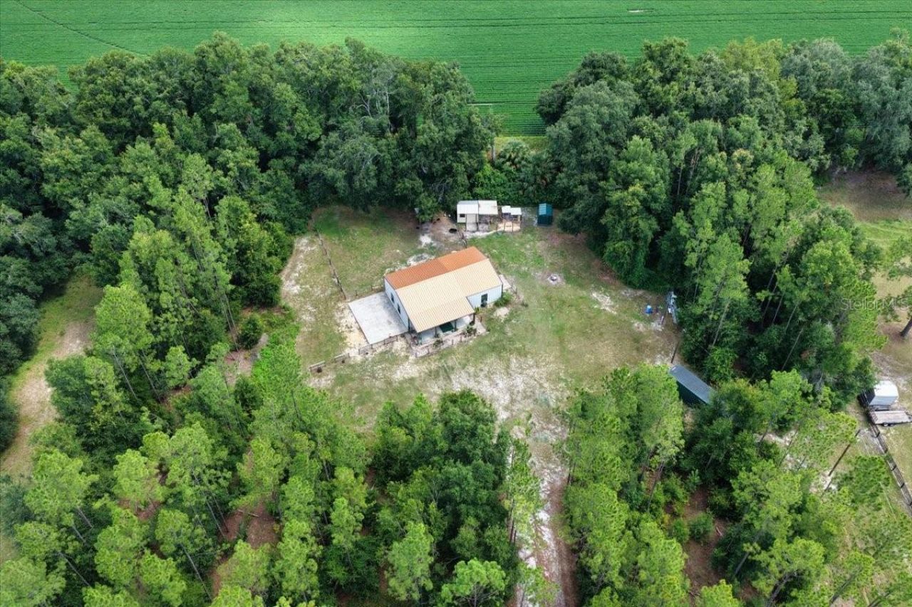 631 NW 172nd Lane, Trenton, FL 32693 Photo