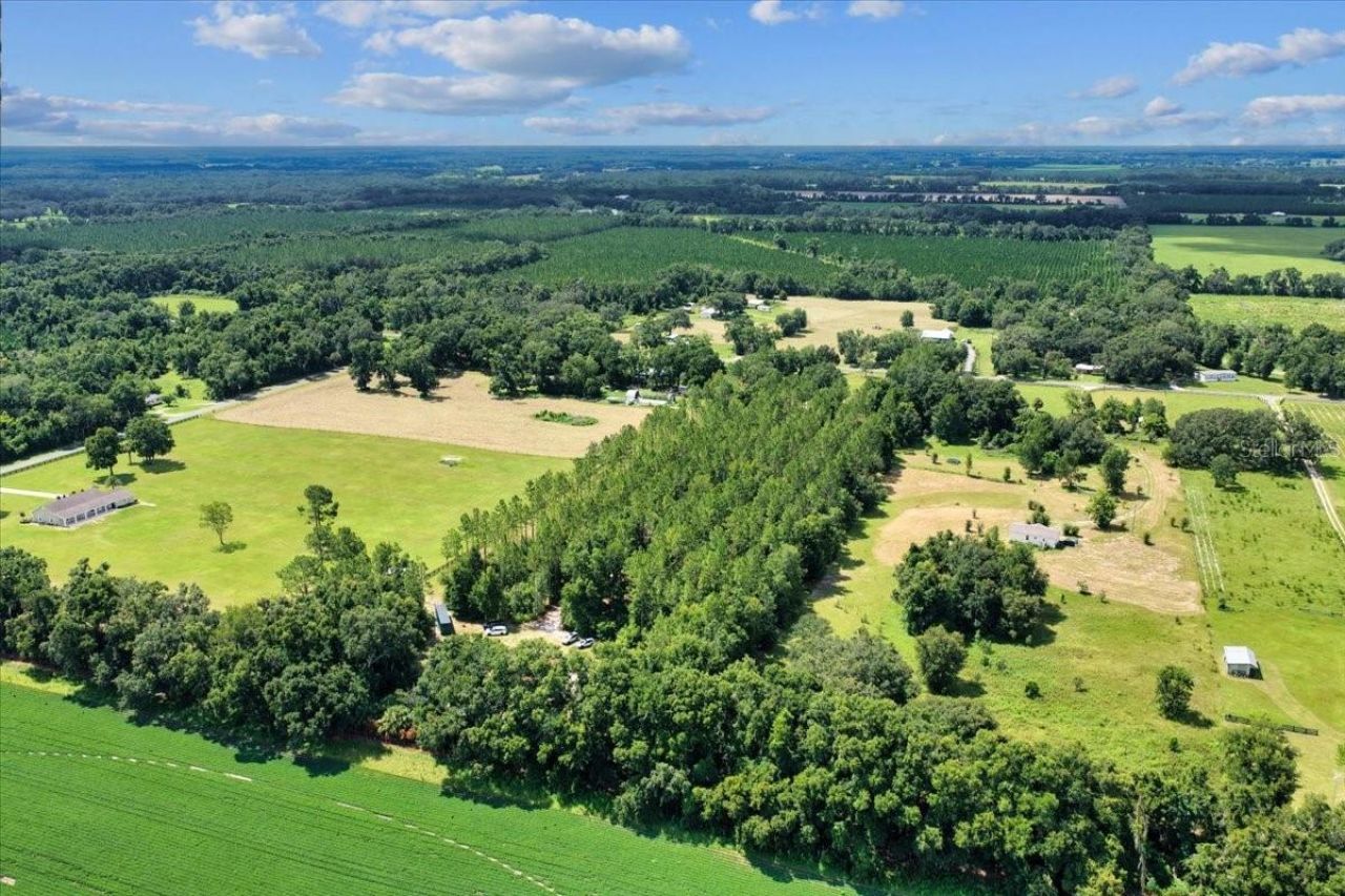 631 NW 172nd Lane, Trenton, FL 32693 Photo