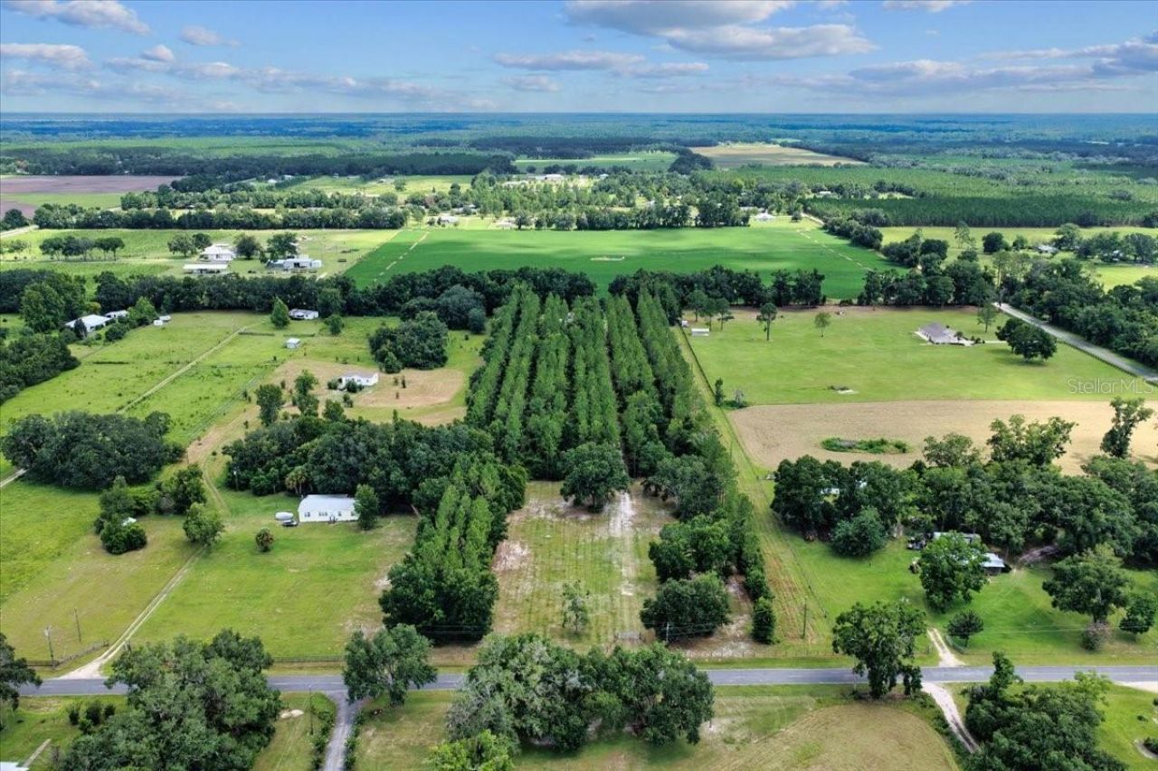 631 NW 172nd Lane, Trenton, FL 32693 Photo