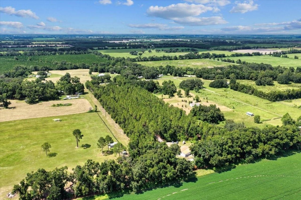 631 NW 172nd Lane, Trenton, FL 32693 Photo