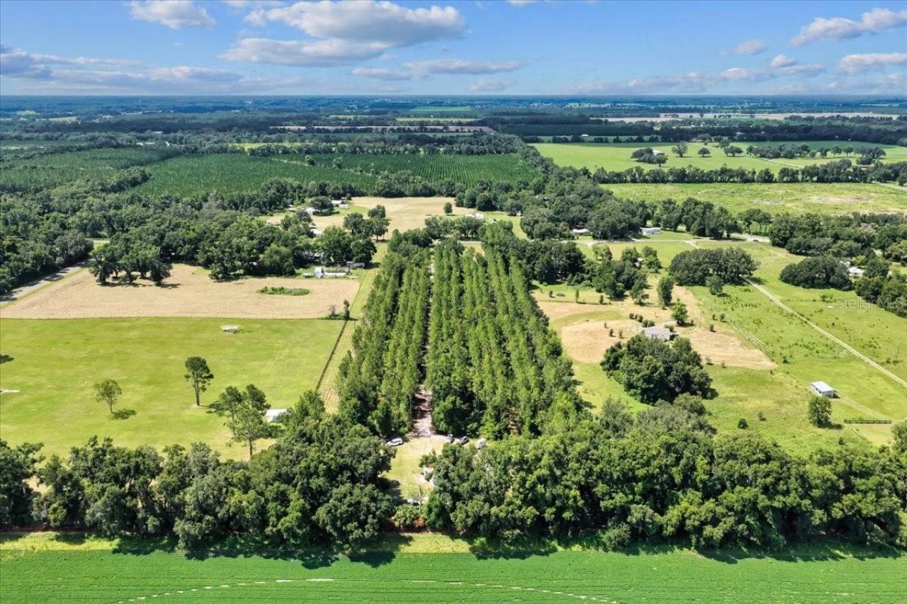 631 NW 172nd Lane, Trenton, FL 32693 Photo