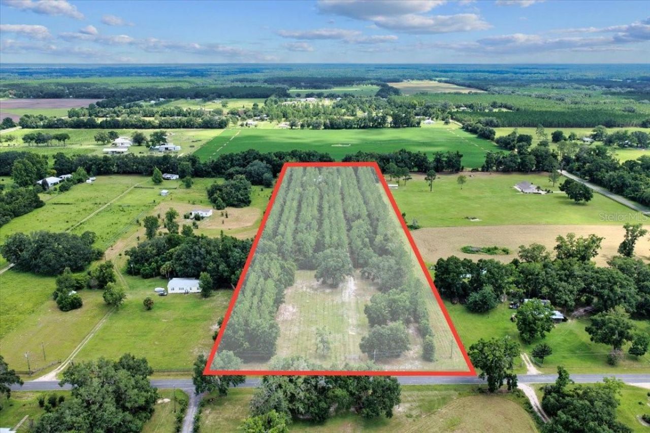 631 NW 172nd Lane, Trenton, FL 32693 Photo