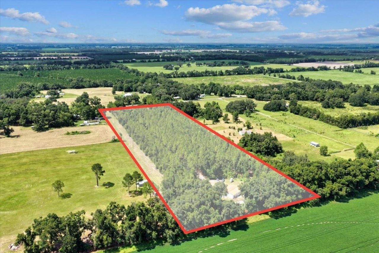 631 NW 172nd Lane, Trenton, FL 32693 Photo