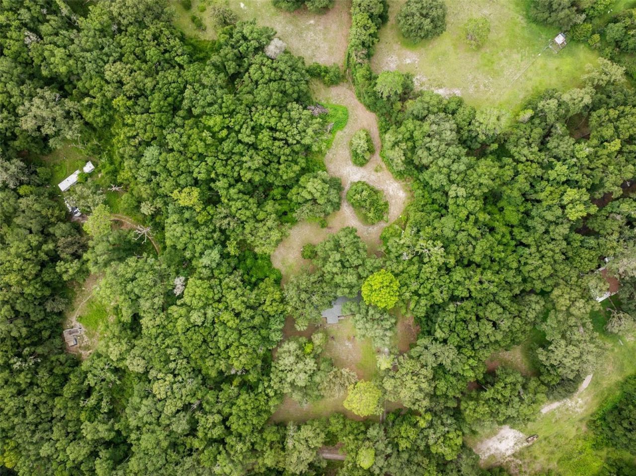 14825 SW 83rd Terrace, Archer, FL 32618 Photo